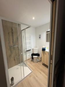 a bathroom with a shower and a toilet at Le studio louana Appartement neuf et discret tout confort in Aubusson +13 photos