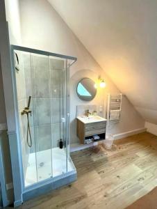 a bathroom with a shower and a sink at Le repaire des halles in Troyes