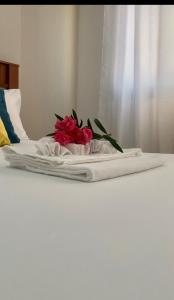 Fotografie z fotogalerie ubytování Relax apartments, Sal Rei, Boa Vista v destinaci Sal Rei + 13 fotografií