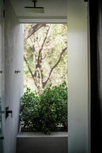 Foto sihtkohas Nosara asuva majutusasutuse Esh Hotel galeriist