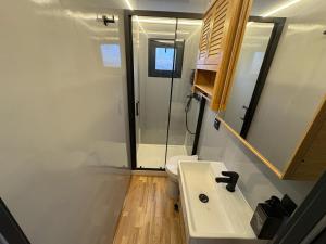 圣玛丽亚港The Boathouse Company - Casa flotante experience - Real Club Náutico, El Puerto de Santa María的带白色水槽和马桶的浴室