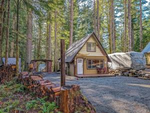 una pequeña cabaña en medio de un bosque en Tee & Ski Cabin, en Packwood