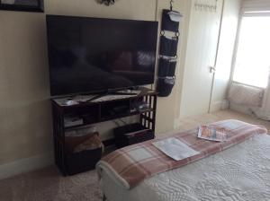 TV a/nebo společenská místnost v ubytování Charming Studio Apartment in the Heart of Golden