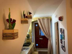 a kitchen with a sink and a cactus on the wall at Loft Albicocca in Bari +20 photos