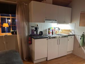 Köök või kööginurk majutusasutuses Ulvsby Ranch Western Camp
