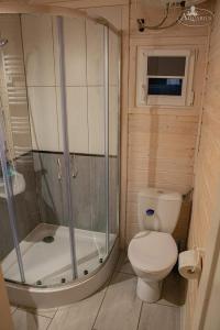a small bathroom with a toilet and a shower at FHU Aquarius in Dziwnówek +38 photos