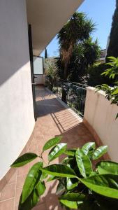 Φωτογραφία από το άλμπουμ του Residenza Di Lorenzo σε Mondragone