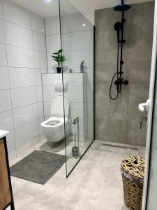 Ένα μπάνιο στο Apartman Stari Grad +11 φωτογραφίες
