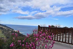 um ramo de flores cor-de-rosa numa colina com o oceano em Lions Nine em Mouresi