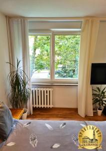 a bedroom with a large window and a bed at Apartamenty Bolesławiec Spółdzielcza Free parking in Bolesławiec