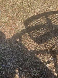 a shadow of a person on the grass at Dna in Memphis