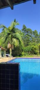 a blue swimming pool with a palm tree in the background at Chácara in Ibiúna