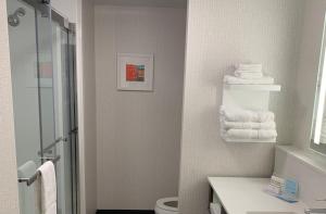 Koupelna v ubytování Hampton Inn Boston Logan Airport