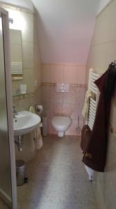 テルチにあるB＆B ニカの小さなバスルーム(洗面台、トイレ付)