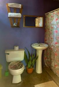 a bathroom with a toilet and a sink at Anez Cabin'S in Cabuya