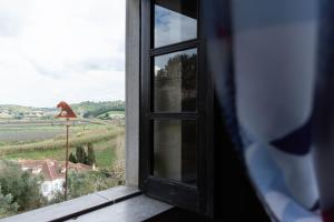 Příroda nedaleko hostelu