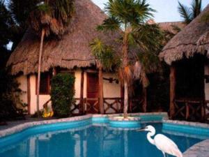 Bazén v ubytování Holbox by Xaloc nebo v jeho okolí