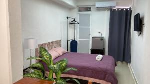 Postel nebo postele na pokoji v ubytování SP Rooms Centro Histórico 1 recámara matrimonial con baño privado