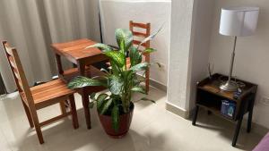 Fotografie z fotogalerie ubytování SP Rooms Centro Histórico 1 recámara matrimonial con baño privado v destinaci Campeche