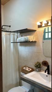 a bathroom with a sink and a toilet and a mirror at La Maison d' Ivonne in Antón