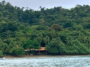 a house on the shore of a beach with trees at Kurrulau Hotel Playa Pacífica in Nabugá +20 photos