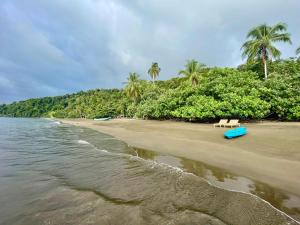 a beach with a bench and palm trees and the water at Kurrulau Hotel Playa Pacífica in Nabugá