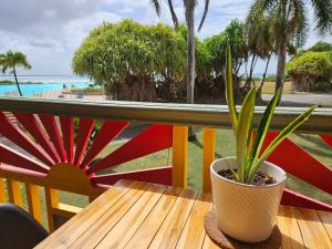 a plant sitting on a wooden table on a balcony at COZY Studio 331 ADR in Saint-François +7 photos