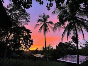 a sunset with two palm trees and a house at Sconfra creek in Bluefields