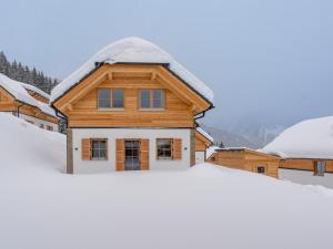 Haus Enzian v zime