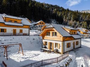 Haus Enzian v zime