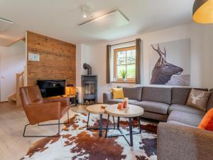 TV a/nebo společenská místnost v ubytování Chalet Amsel
