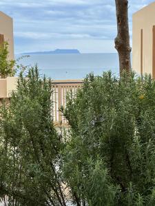 a view of the ocean from behind a tree at Villa Elodie, Green Coast, Palase in Palasë