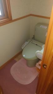 a bathroom with a green toilet in a room at 民泊 瑞鳳館 in Senboku