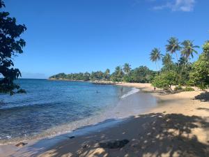a beach with palm trees and people swimming in the water at Villa Mamalouken : App Léonie in Rivière-Pilote