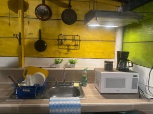 a kitchen counter with a sink and a microwave at La Casita Azul in San Felipe