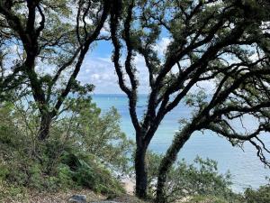 a view of the ocean through some trees at Appartement à Noirmoutier 4 personnes avec parking - FR-1-823-31 in Noirmoutier-en-l'lle +3 photos