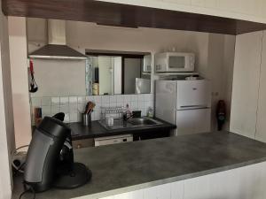 ラ・フォット・シュル・メールにあるStudio avec vue sur la lagune, parking et animaux admis - FR-1-194-293のシンクと冷蔵庫のある小さなキッチン +12枚の写真