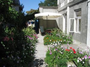 ogród z parasolem i kwiatami obok budynku w obiekcie Pensiunea Turistica Visconti w mieście Sfântu Gheorghe
