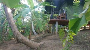 Zahrada ubytování coconut camp udawalawe