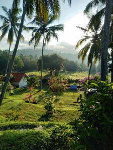 vista su un cortile con palme e su una casa di Son & Roberto a Karangasem