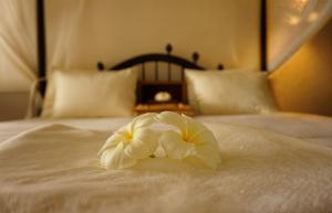 Katil atau katil-katil dalam bilik di Rest House Matara