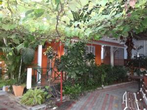 Giardino di Son House Studio