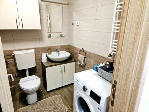 a bathroom with a toilet a sink and a washing machine at REA in Pasuljište +5 photos