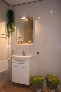 uma casa de banho com um lavatório e um espelho em Ambla em Nes