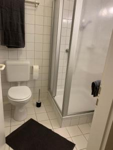 凯撒斯劳滕Monteurapartment in Kaiserslautern的带马桶和淋浴的浴室