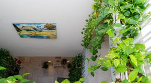 Vonkajšia záhrada v ubytovaní Hotel Palacio Alcázar