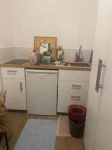 Η κουζίνα ή μικρή κουζίνα στο Chambre dans un grand appartement avec terrasse