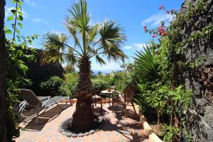 een palmboom en stoelen op een patio bij JURTE - Traumhafter Meerblick, beheizter Pool, Sauna, Billiard, Tischtennis, Garten in La Asomada +21 foto's