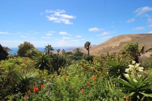 een veld van planten en bloemen met bergen op de achtergrond bij JURTE - Traumhafter Meerblick, beheizter Pool, Sauna, Billiard, Tischtennis, Garten in La Asomada