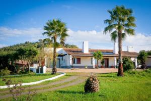 a house with two palm trees in the grass at Luxe villa for 8 - Heated Pool -AC -BBQ Area - Patio - 160Mbps - Olives - Palm - vineyard in Santa Luzia